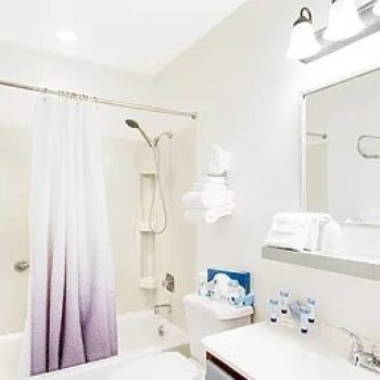 One Bedroom Condo, View PET FRIENDLY4