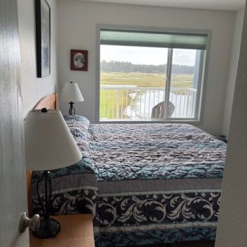 One Bedroom Condo, View3