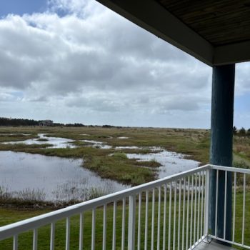 One Bedroom Condo, View5